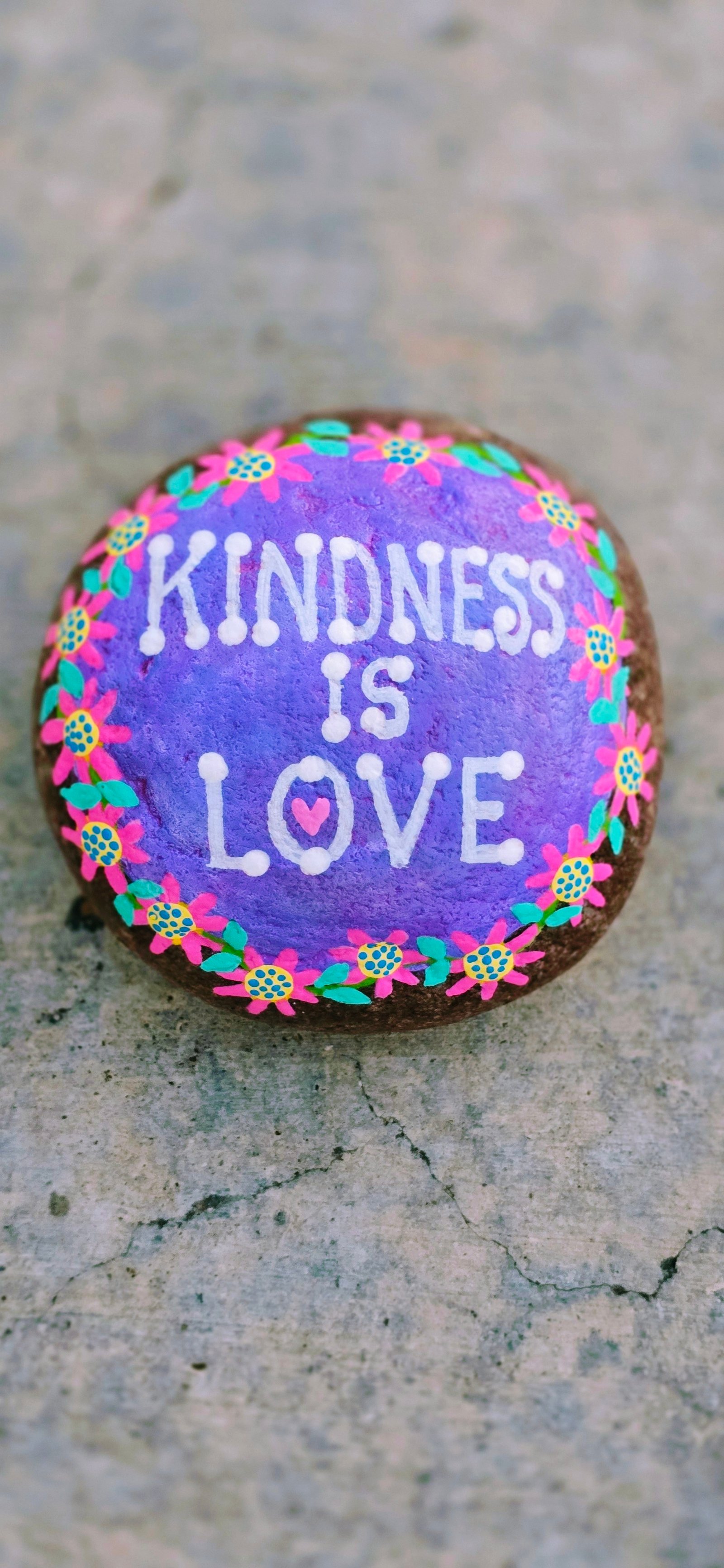 Post image by Rock Painting Momma