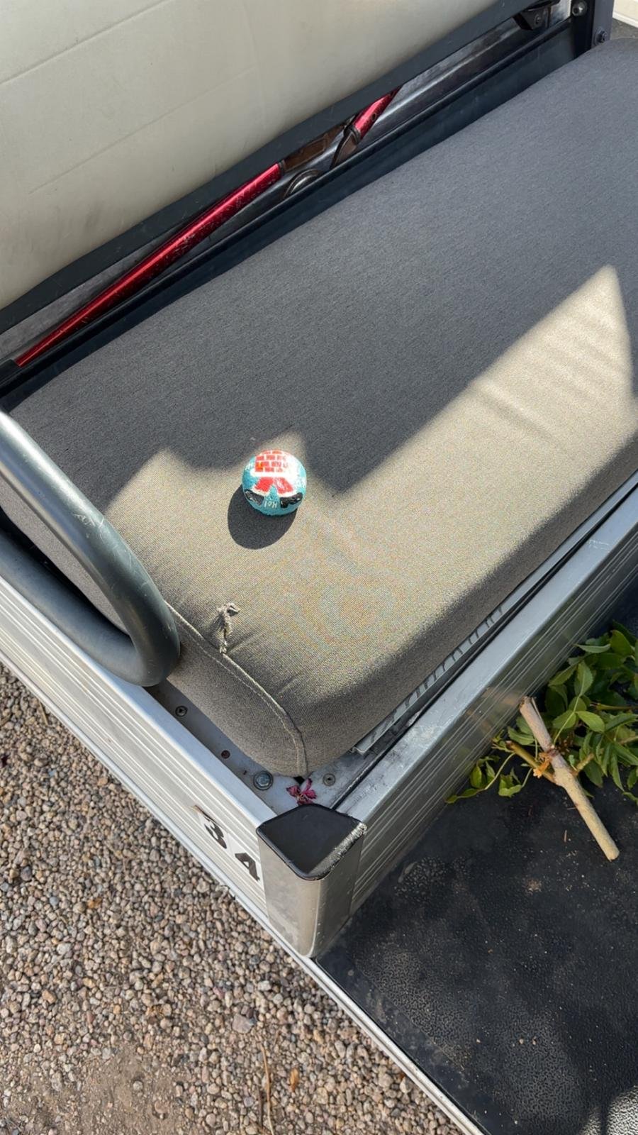 Post image by Andres flores